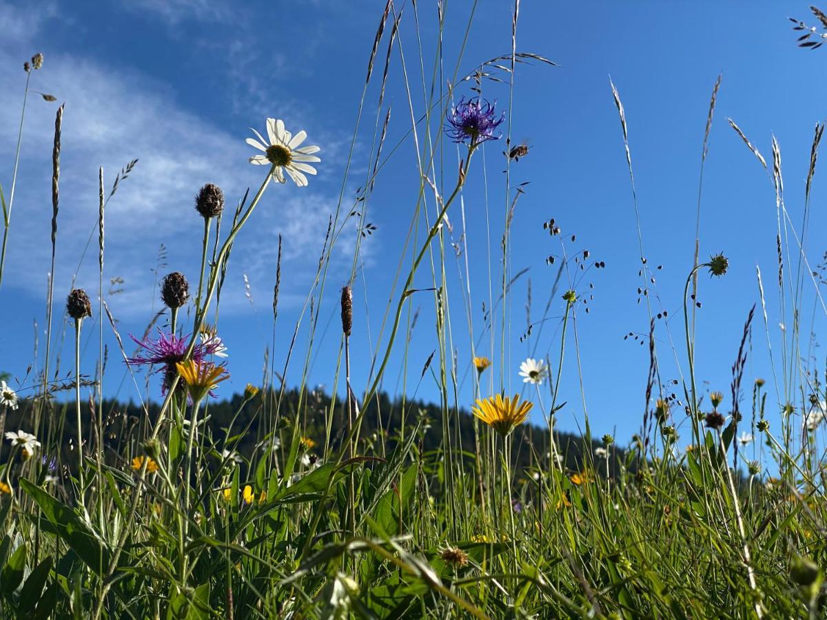 Hotel Alpenhof 4*