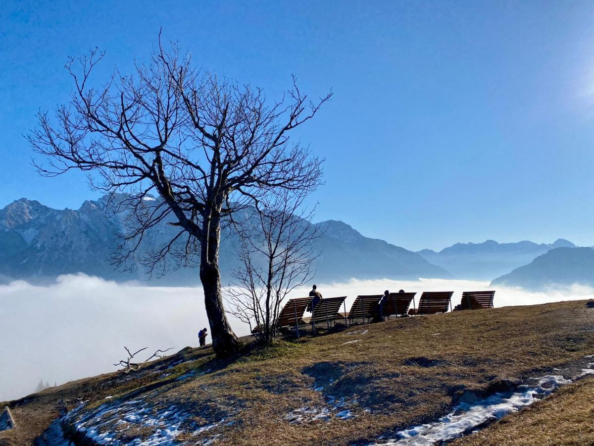 Hotel Alpenhof 4*