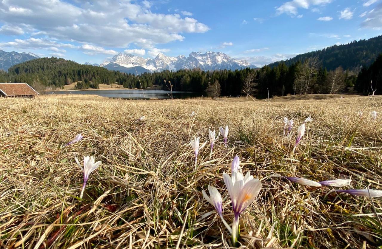 Alpenhof 4* Krun