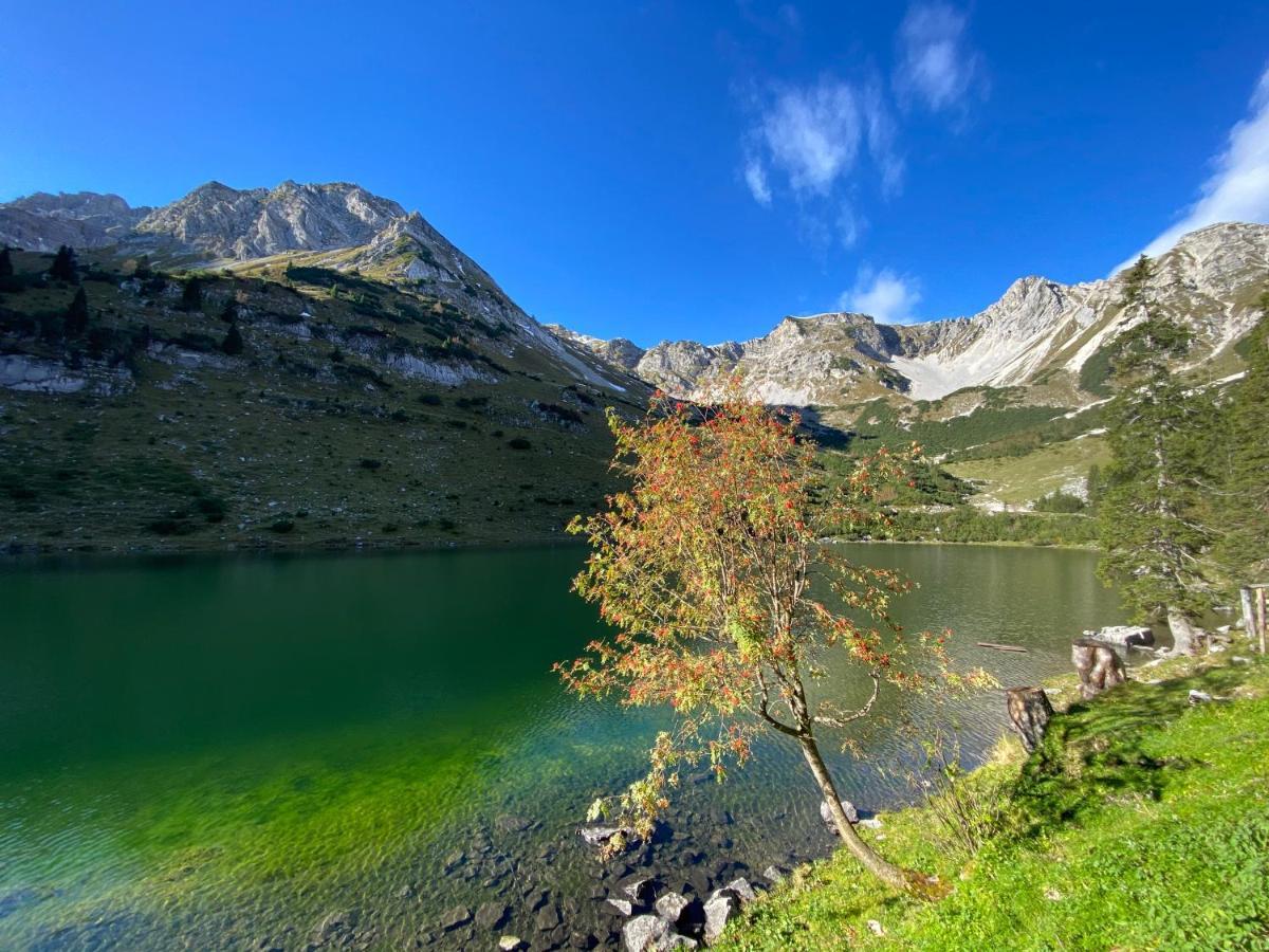 Alpenhof 4*