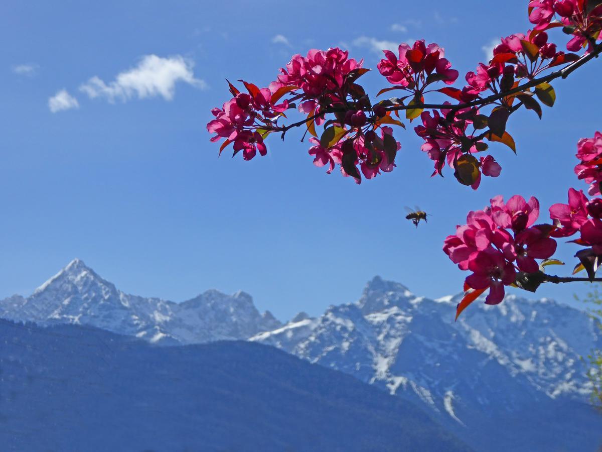 Alpenhof 4*