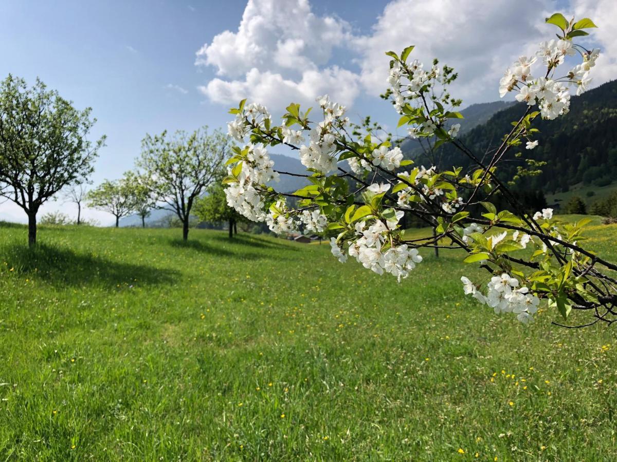Alpenhof Отель 4*