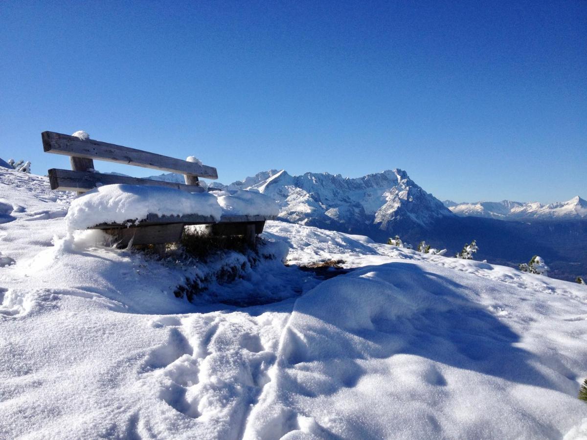 Отель Alpenhof